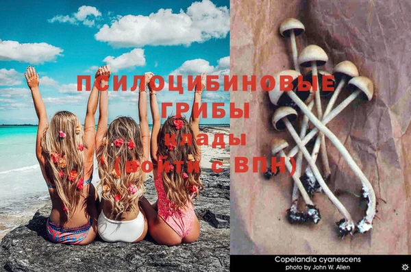 дмт Алзамай