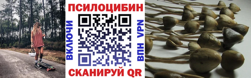 как найти закладки  Жуковский  Галлюциногенные грибы мухоморы 