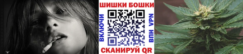 купить наркотики сайты  Жуковский  Бошки Шишки ГИДРОПОН 